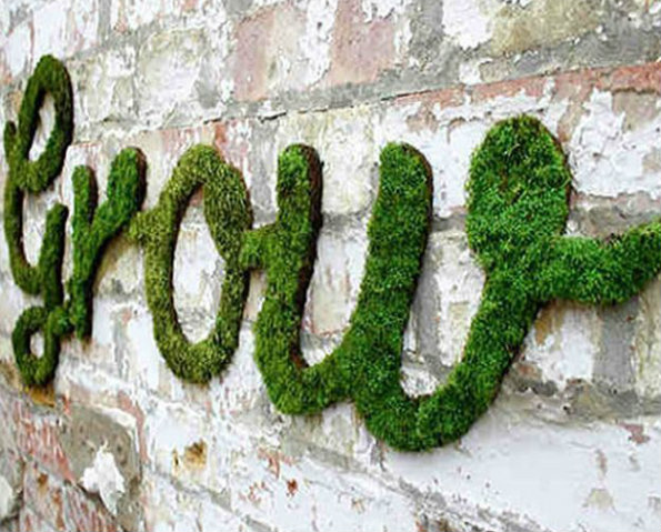 moss growing on a wall in the shape of the word grow